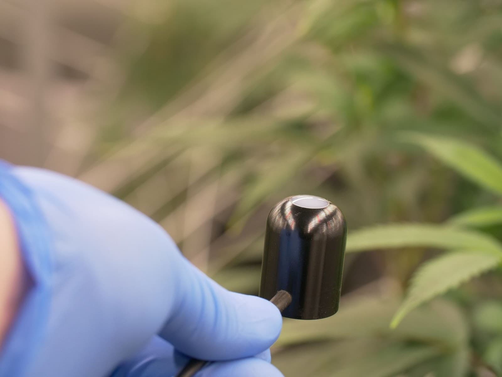 A PAR meter in a growers hands