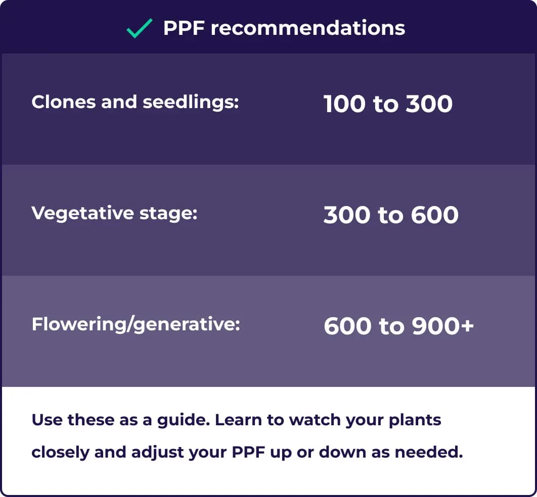 PPF recommendations illustration