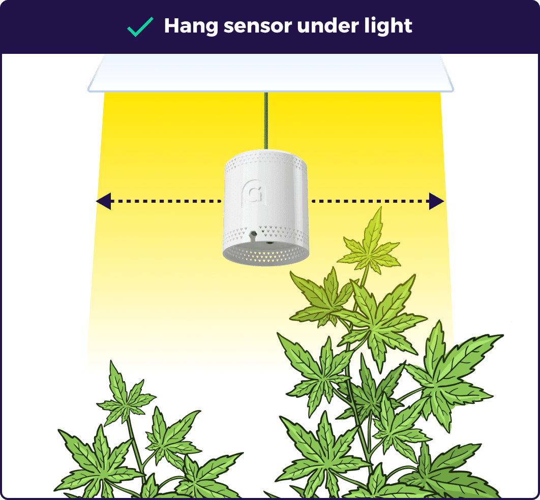 Hang light sensors directly under the lights - illustration