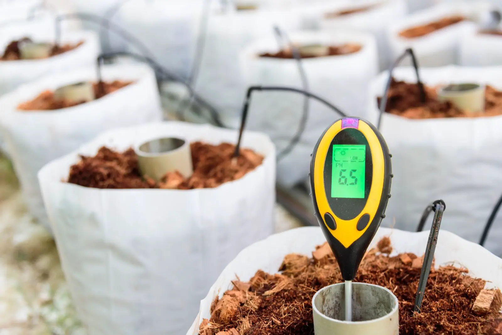 A PH meter in some cannabis pots.