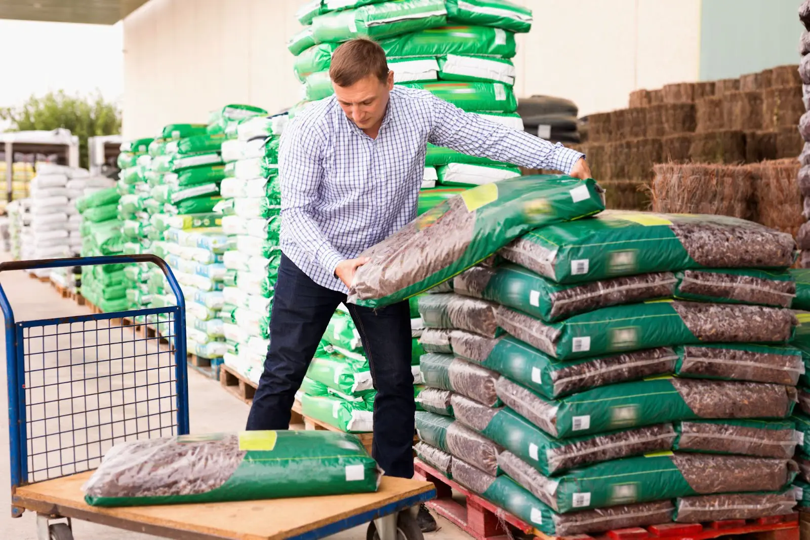 A grow buying the best soil for cannabis at a grow shop.