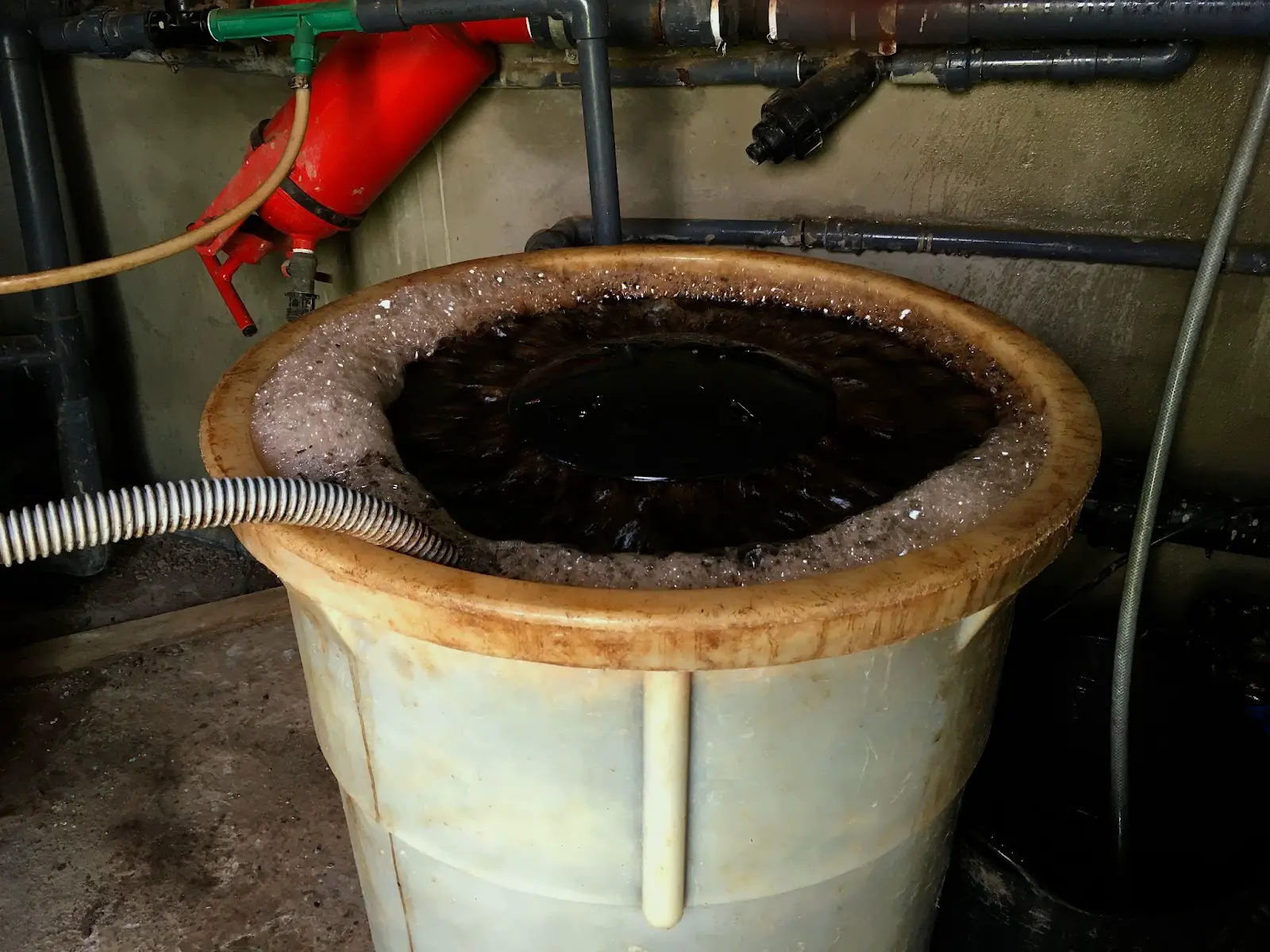 A grower making compost tea in a large container.