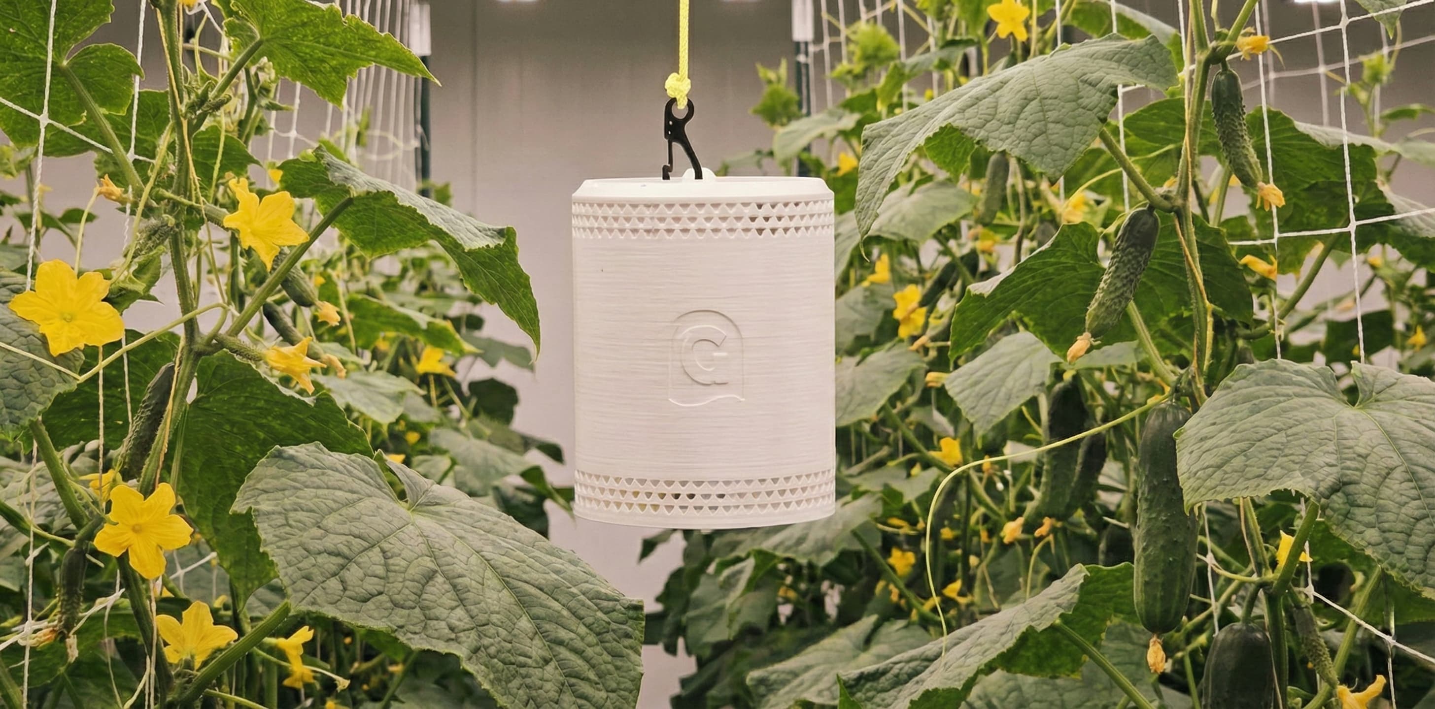 Grow Sensor in a large commercial grow facility