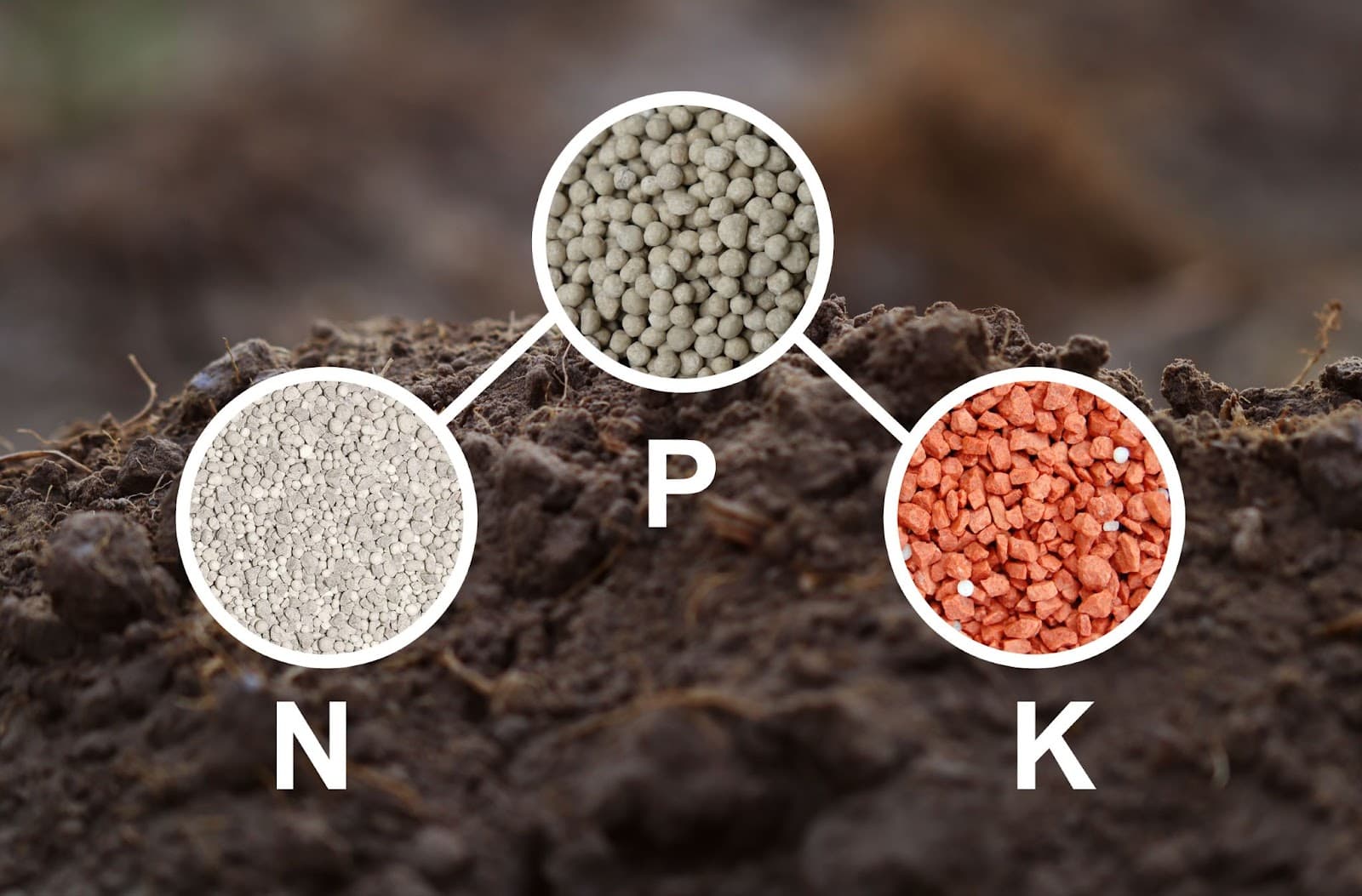 essential cannabis nutrients