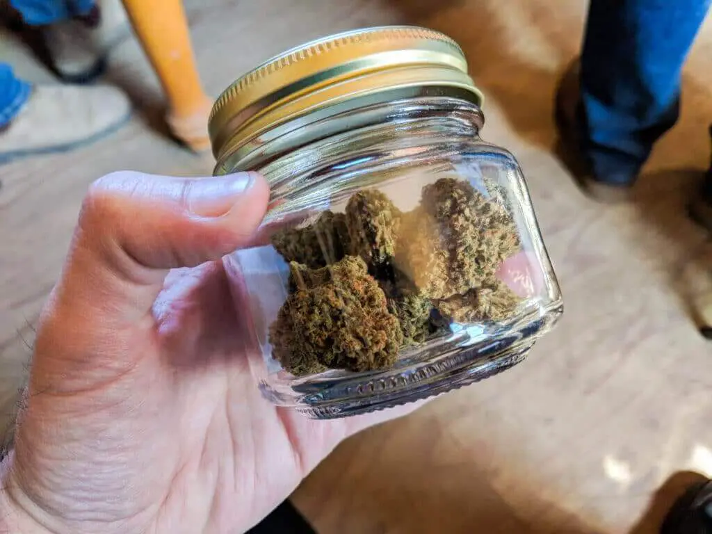 Curing cannabis on a small scale