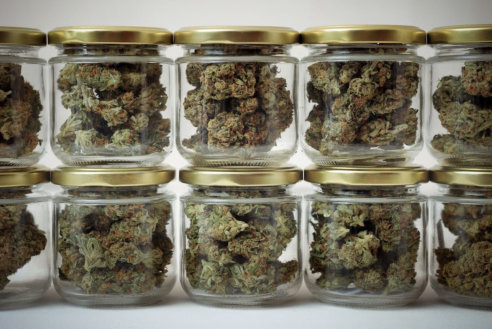 Cannabis curing in jars