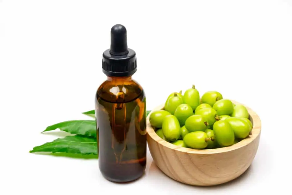 Neem oil to be used as a bio-pesticide agains spider mites on plants