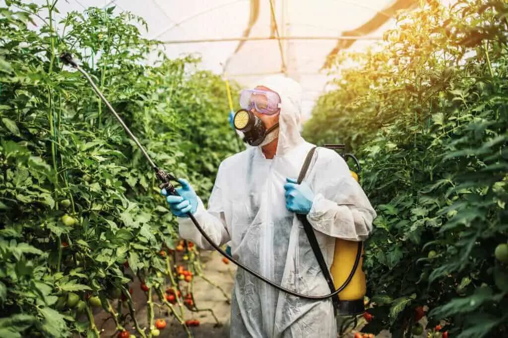 Application of insecticides by a man in a protective suit