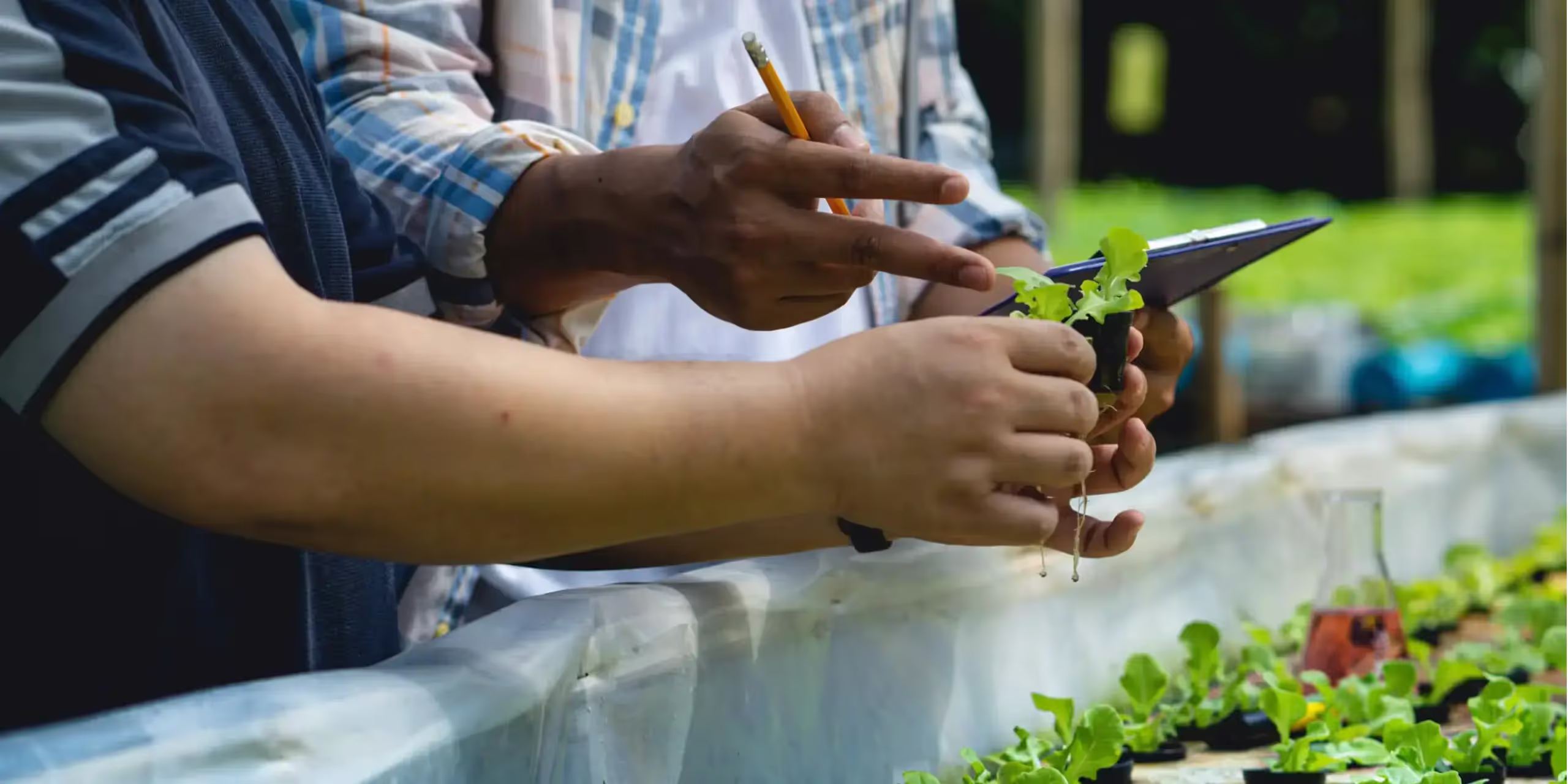 Indoor farming set up with two growers assessing the health of a plant