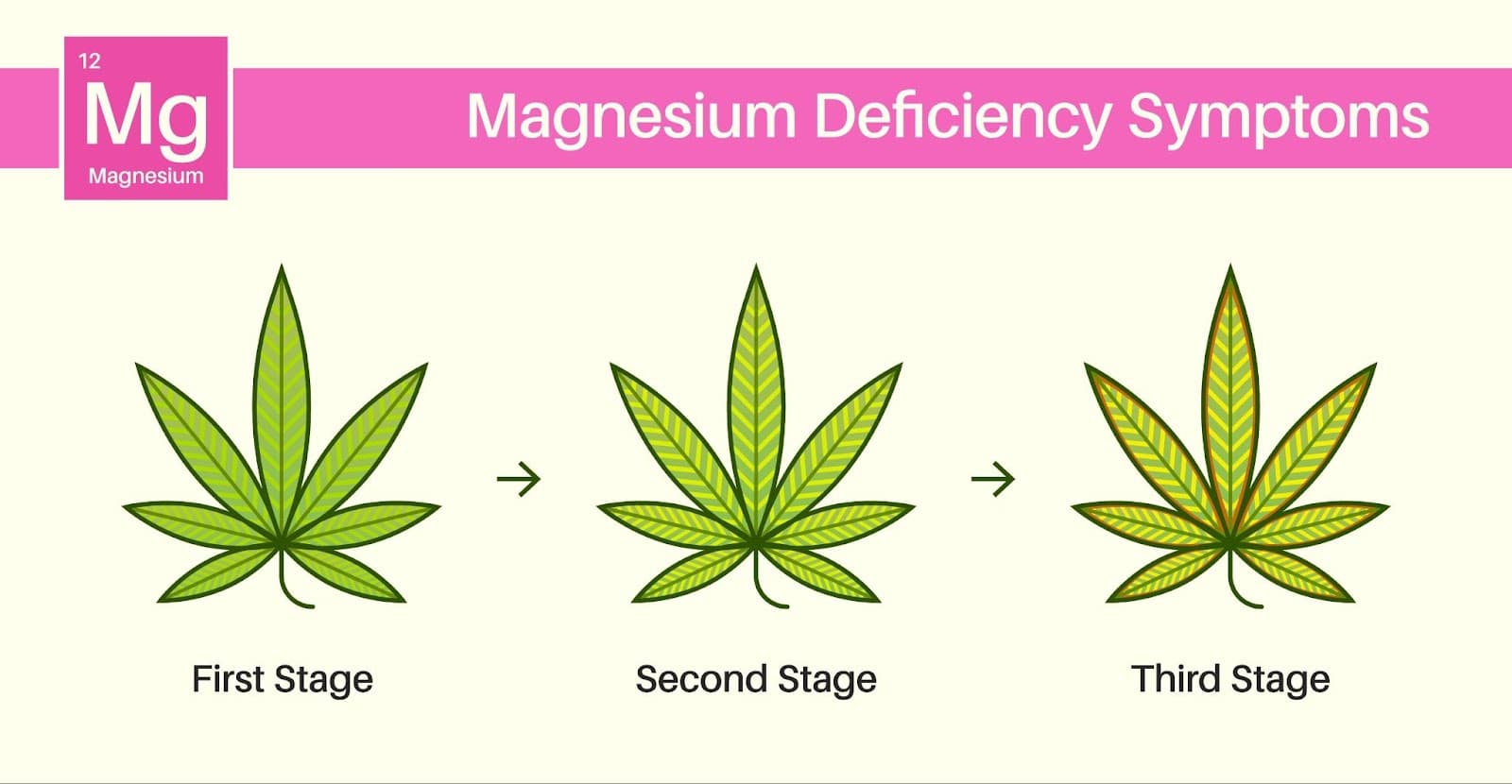 signs of magnesium deficiency
