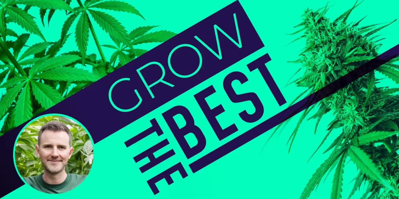 Learn your cannabis grow acronyms
