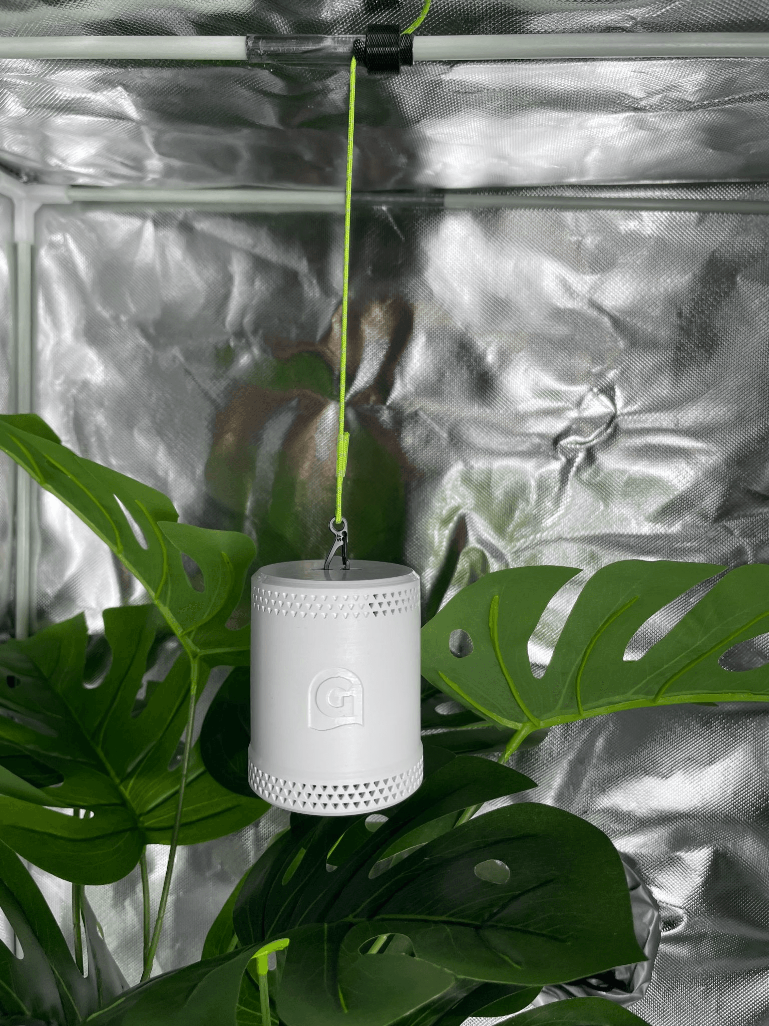 The ideal Grow Sensor placement - under 7.5cm from a leaf directly beneath at the top of the canopy