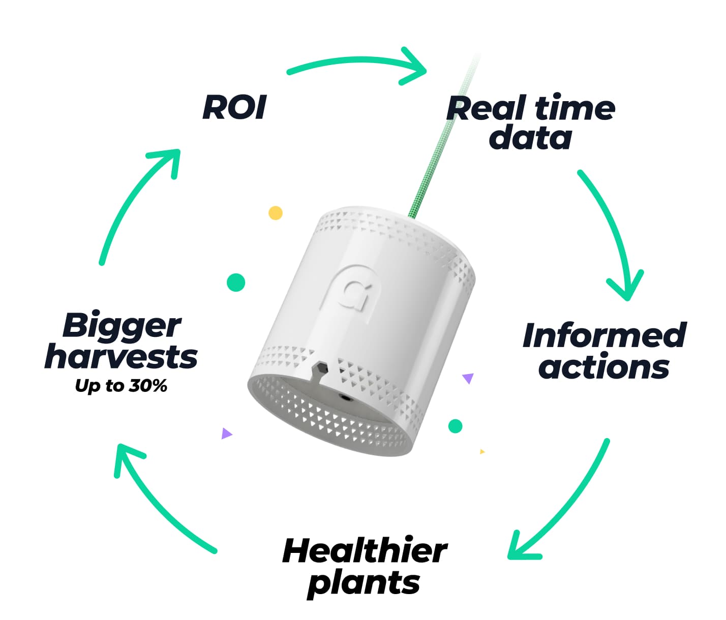 ROI ilustration
