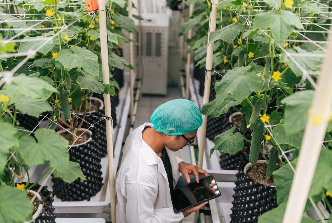 Grower taking readings for crop registration in an indoor growing facility