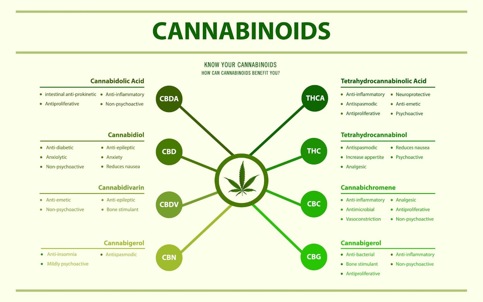 Infographic listing out cannabinoids and their effects