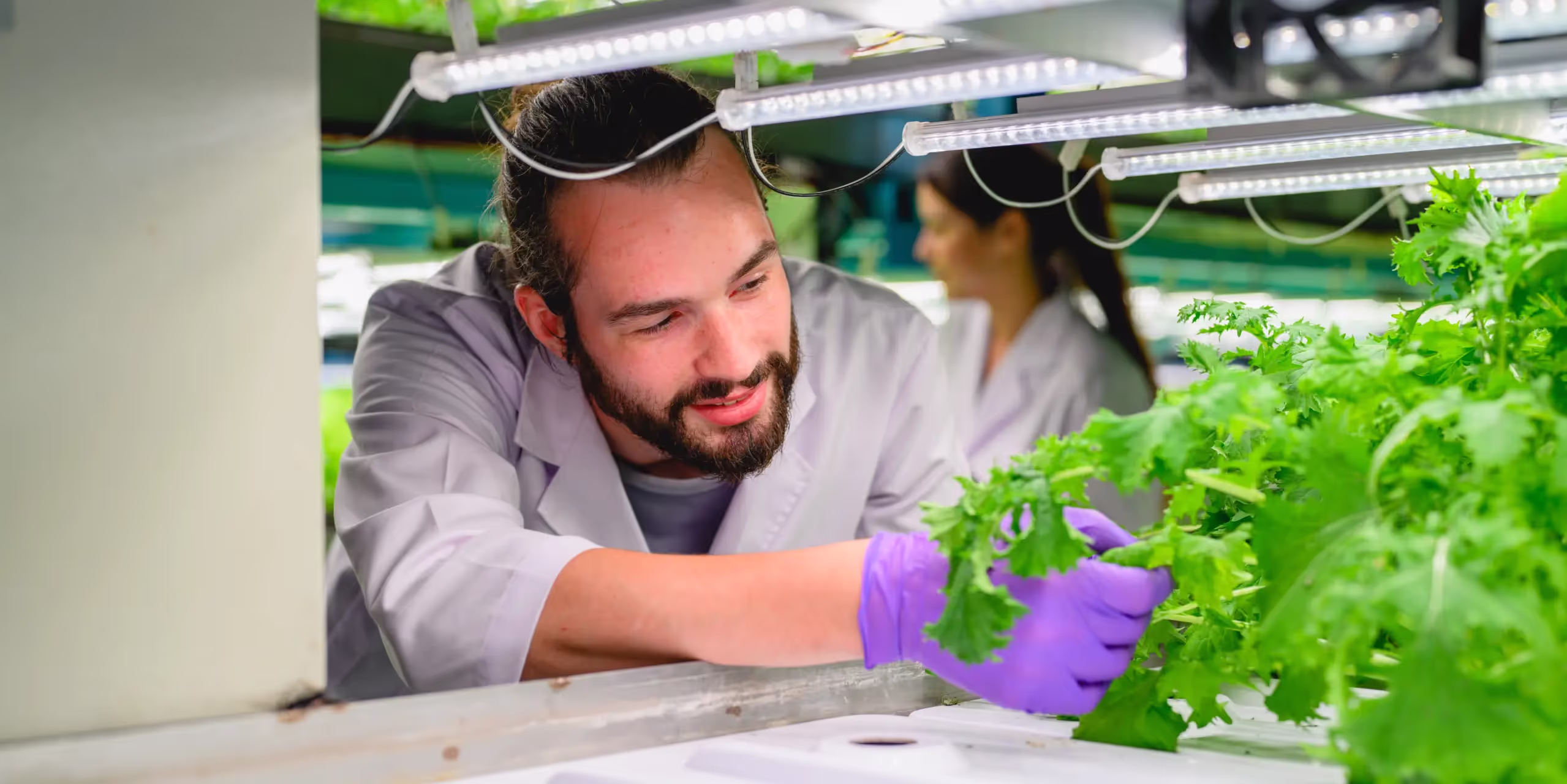 A man checks the temperature of his grow room.