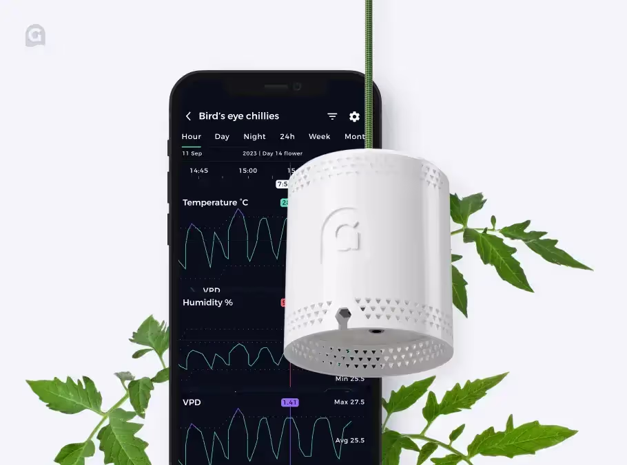 The Grow Sensor and the Grow app shown on an iPhone