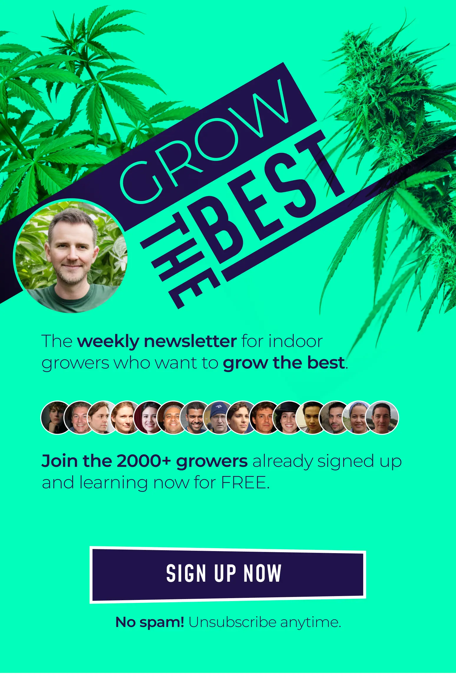 Grow the best cannabis and learn when and how to flower outdoors