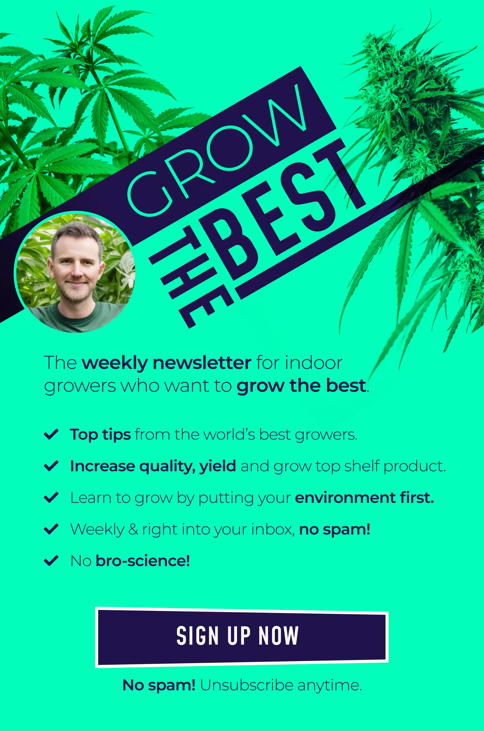 Grow the best cannabis and learn when and how to flower outdoors