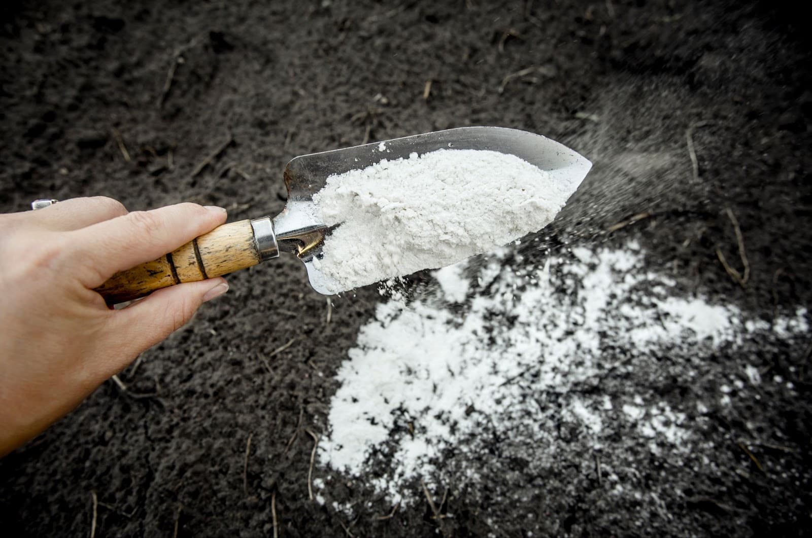 Grower adding dry amendment to soil